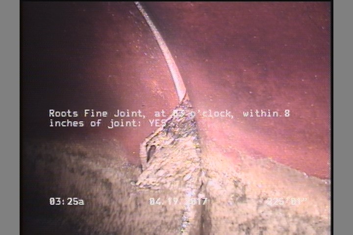 Roots Fine Joint, at 03 o'clock, within 8 inches of joint: YES