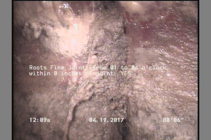 Roots Fine Joint, from 01 to 04 o'clock, within 8 inches of joint: YES