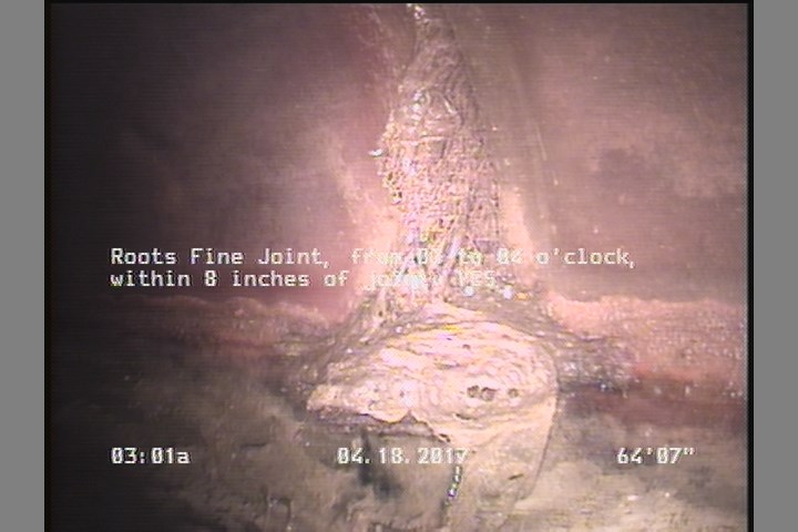 Roots Fine Joint, from 03 to 04 o'clock, within 8 inches of joint: YES