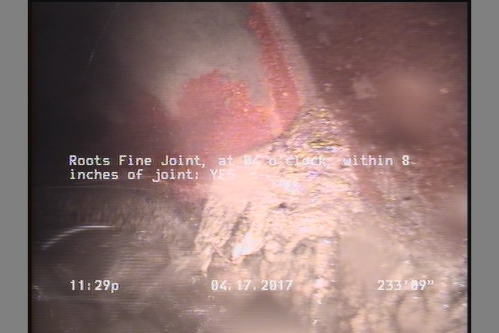 Roots Fine Joint, at 04 o'clock, within 8 inches of joint: YES