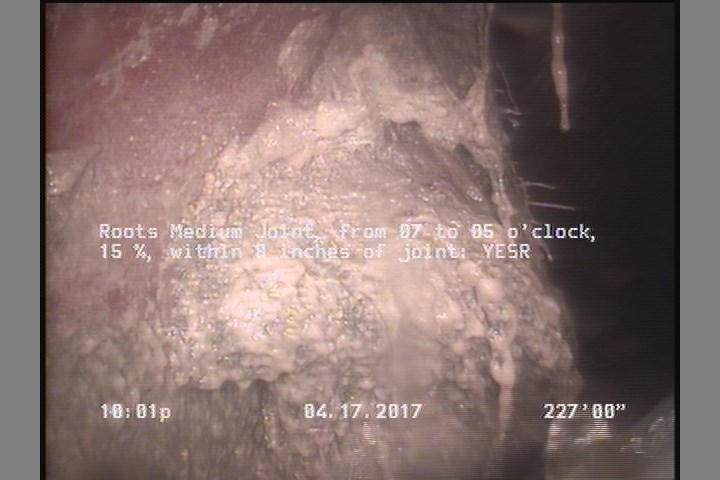 Roots Medium Joint, from 07 to 05 o'clock, 15 %, within 8 inches of joint: YESR