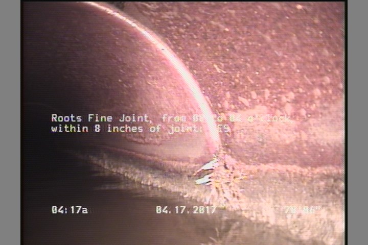 Roots Fine Joint, from 08 to 04 o'clock, within 8 inches of joint: YES