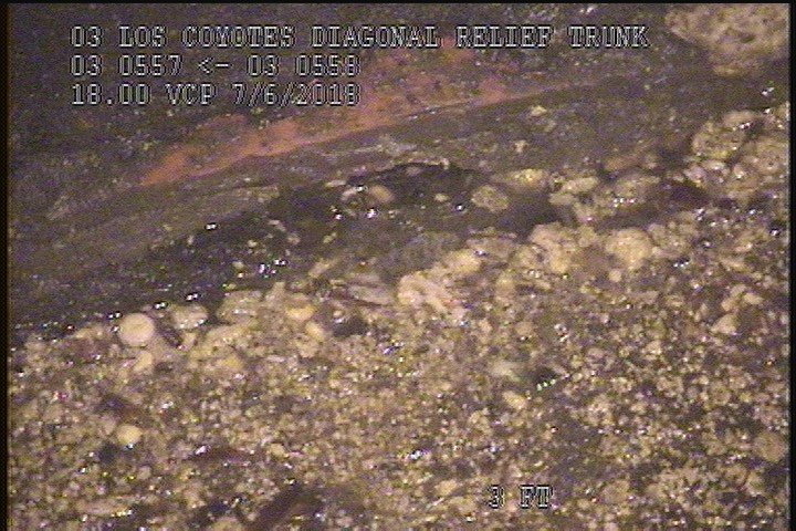 Survey Abandoned - 95% FLOATING SLUDGE