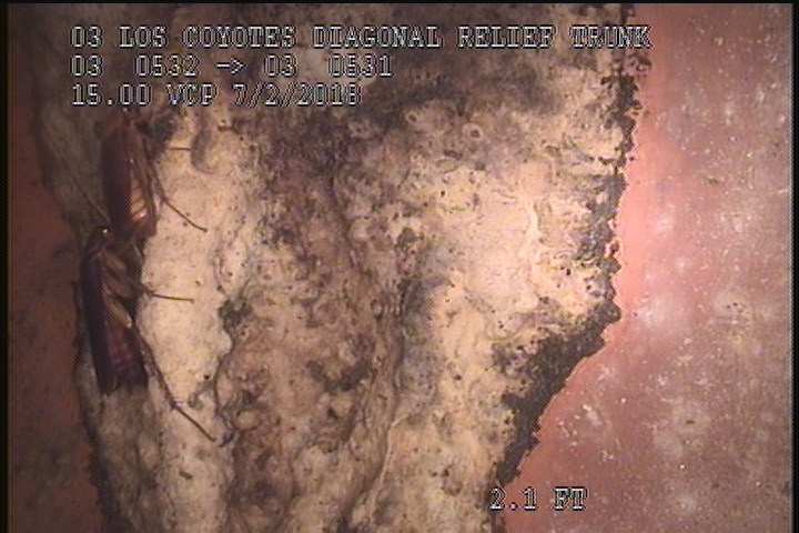 Deposits Attached Grease, 10 %of cross sectional area, from 10 to 02 o'clock, , within 8 inches of joint: YES
