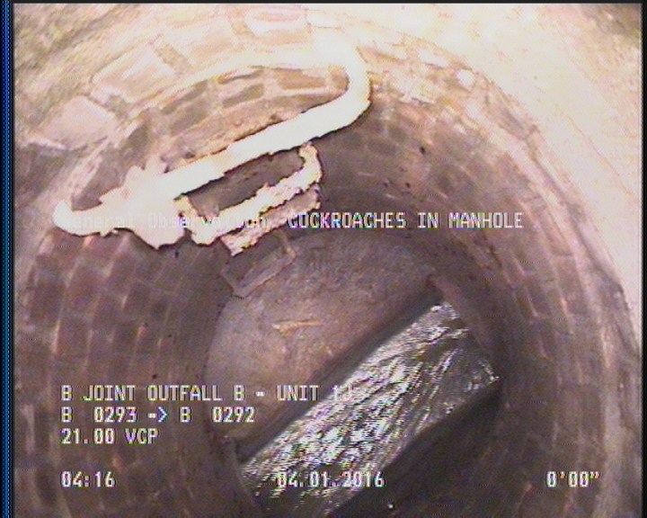 General Observation - COCKROACHES IN MANHOLE