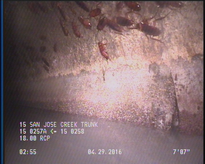 Deposits Attached Grease, 5 %of cross sectional area, from 04 to 08 o'clock, , within 8 inches of joint: YES, Start