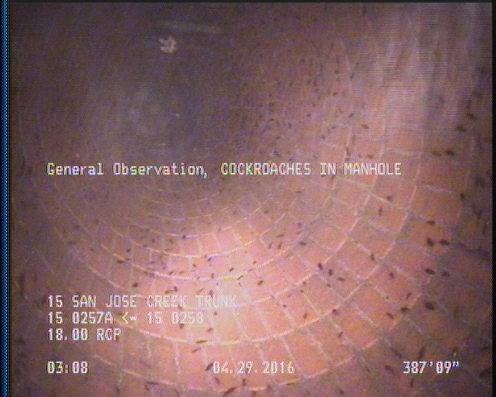 Deposits Attached Grease, 5 %of cross sectional area, from 04 to 08 o'clock, , within 8 inches of joint: YES, Finish