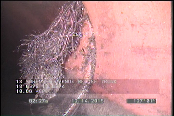 Roots Medium Joint, at 01 o'clock, 10 %, within 8 inches of joint: YESR