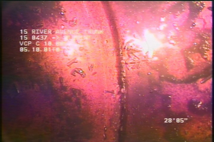 General Photograph - DEBRIS/GREWASE