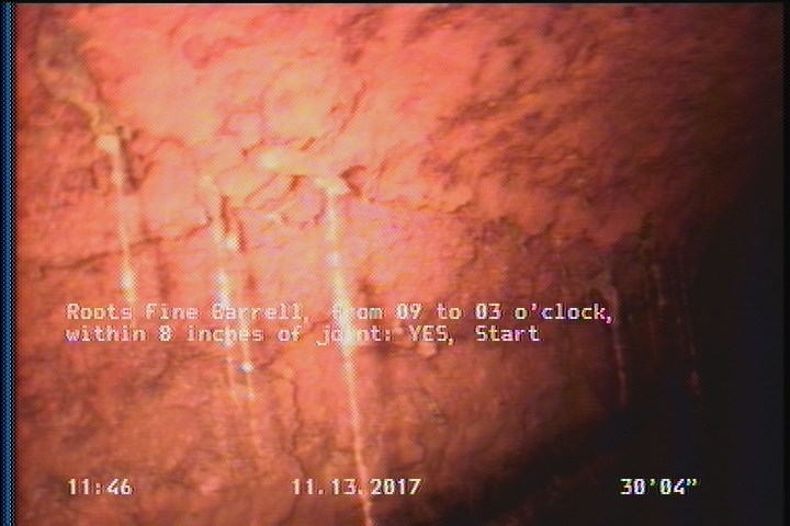 Roots Fine Barrell, from 09 to 03 o'clock, within 8 inches of joint: YES, Start