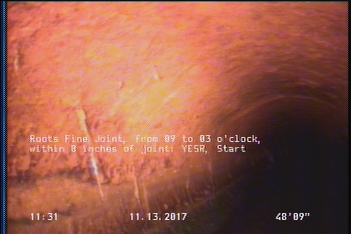 Roots Fine Joint, from 09 to 03 o'clock, within 8 inches of joint: YESR, Start