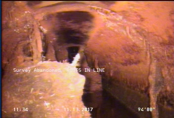 Survey Abandoned - ROOTS IN LINE