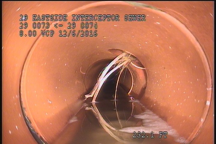 General Photograph - ROOTS