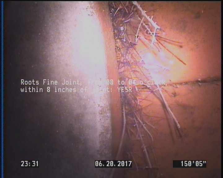 Roots Fine Joint, from 08 to 04 o'clock, within 8 inches of joint: YESR