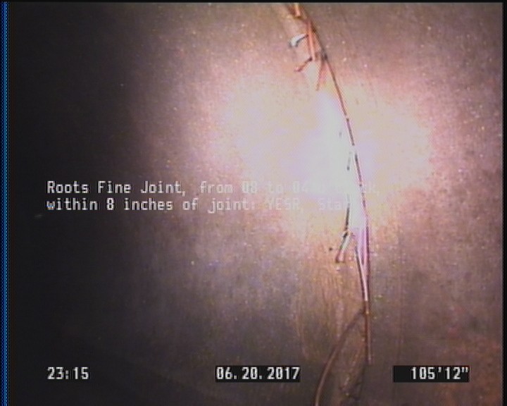 Roots Fine Joint, from 08 to 04 o'clock, within 8 inches of joint: YESR, Start