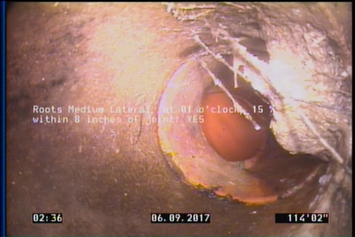 Roots Medium Lateral, at 01 o'clock, 15 %, within 8 inches of joint: YES