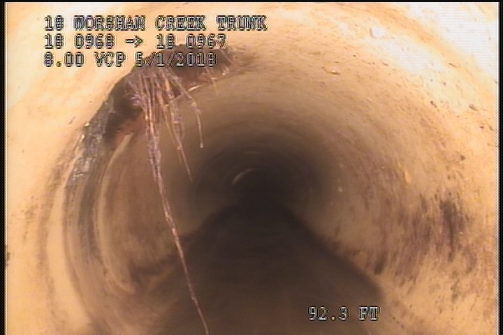 Roots Fine Lateral, from 07 to 11 o'clock - 3% ROOTS