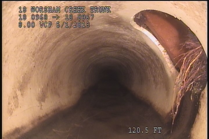 Roots Fine Lateral, from 02 to 04 o'clock - 3%