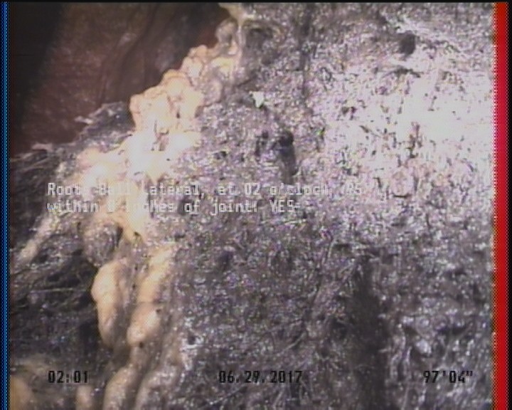 Roots Ball Lateral, at 02 o'clock, 95 %, within 8 inches of joint: YES