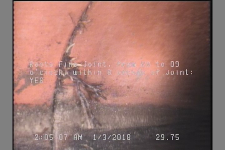 Roots Fine Joint, from 08 to 09 o'clock, within 8 inches of joint: YES