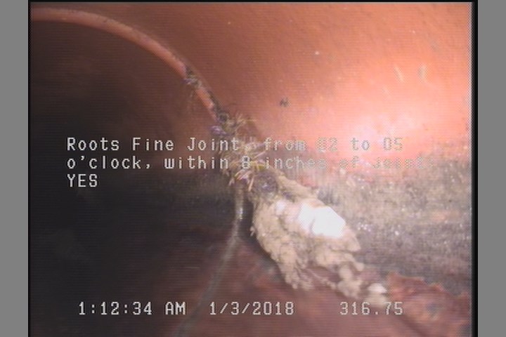 Roots Fine Joint, from 02 to 05 o'clock, within 8 inches of joint: YES