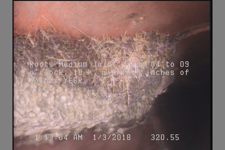 Roots Medium Joint, from 04 to 09 o'clock, 10 %, within 8 inches of joint: YESR