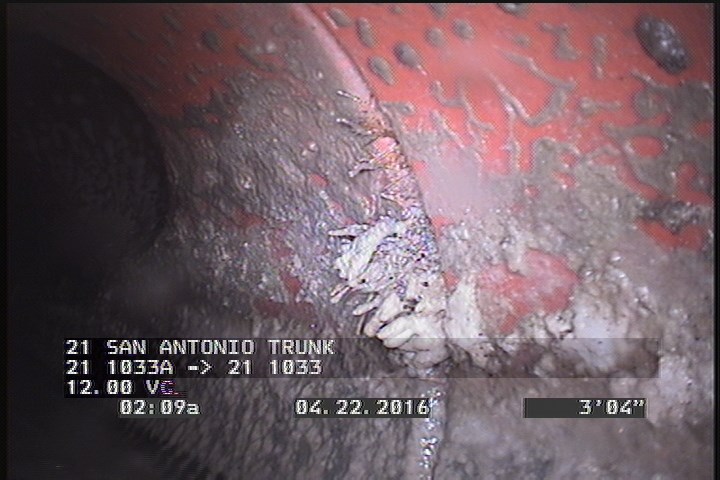 Roots Fine Joint, from 03 to 04 o'clock, within 8 inches of joint: YES