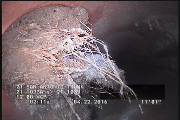 Roots Ball Lateral, at 10 o'clock, 90 %