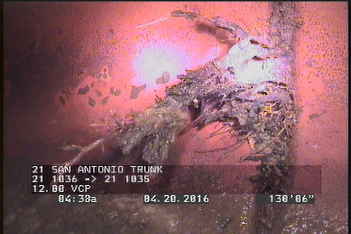 Roots Fine Joint, from 02 to 04 o'clock, within 8 inches of joint: YES