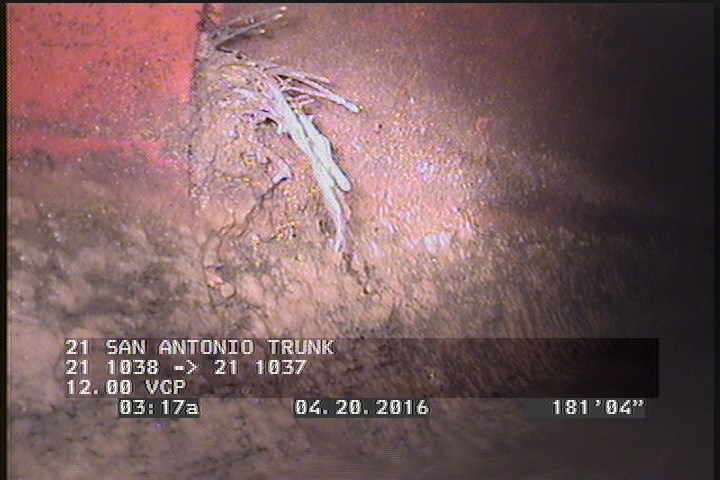 Roots Fine Joint, from 03 to 09 o'clock, within 8 inches of joint: YES