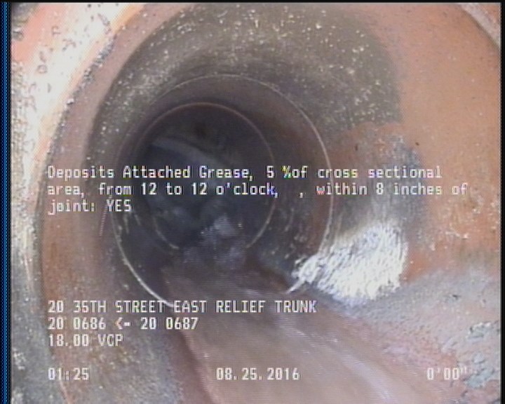 Deposits Attached Grease, 5 %of cross sectional area, from 12 to 12 o'clock, , within 8 inches of joint: YES