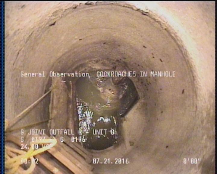 General Observation - COCKROACHES IN MANHOLE