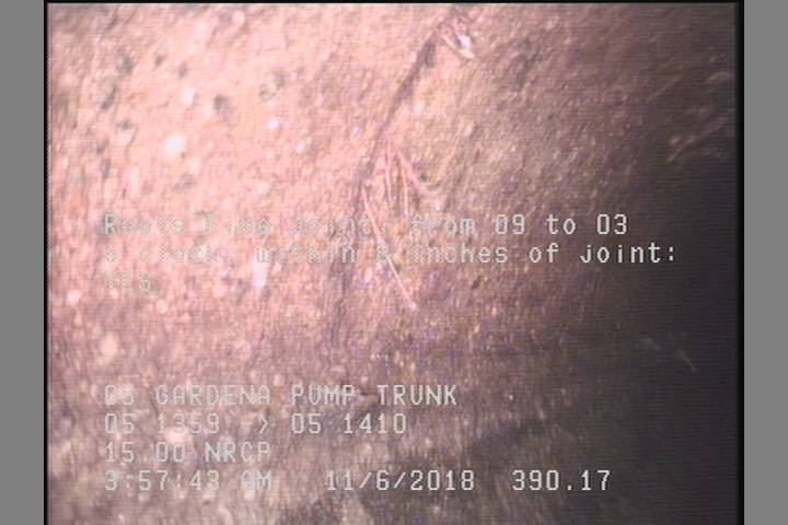 Roots Fine Joint, from 09 to 03 o'clock, within 8 inches of joint: YES