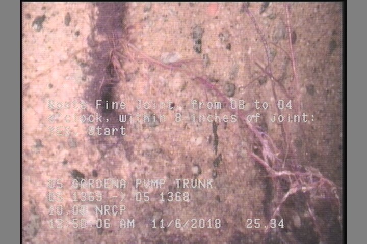 Roots Fine Joint, from 08 to 04 o'clock, within 8 inches of joint: YES, Start