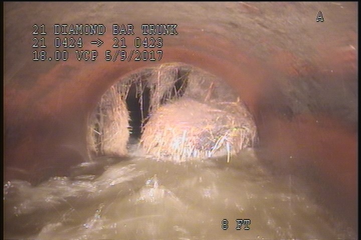 Roots Fine Barrell, from 08 to 04 o'clock, within 8 inches of joint: YES