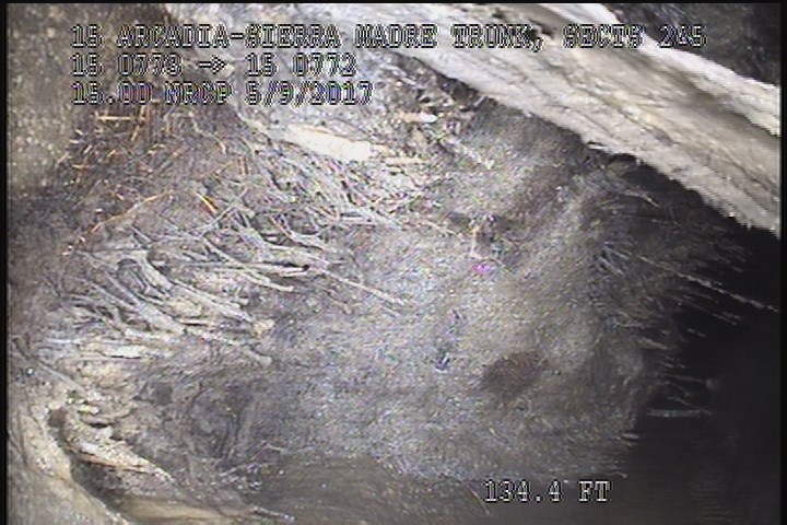 Tap Factory Made Defective, at 10 o'clock, -, within 8 inches of joint: YES, 6" - Active 95% ROOTS