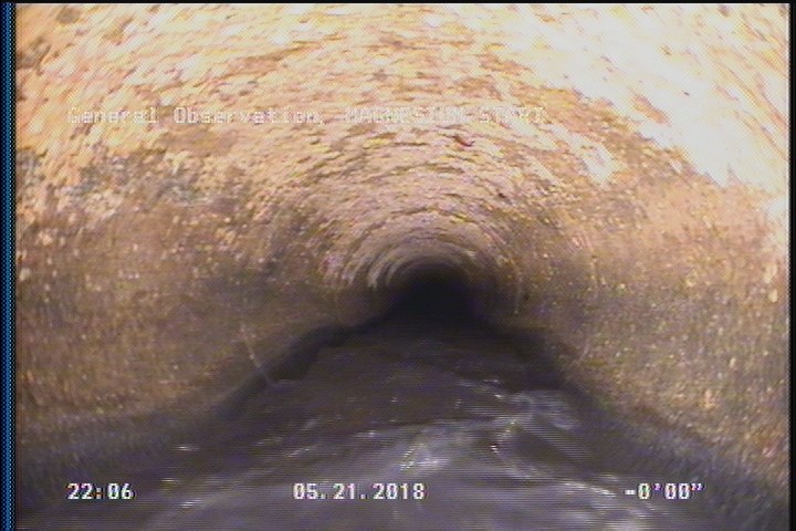 General Observation - MAGNESIUM START