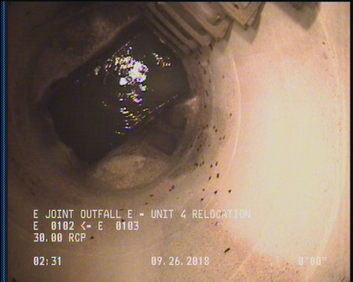 General Observation - COCKROACHES IN MANHOLE