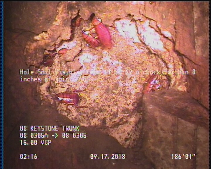 Hole Soil Visible, from 11 to 12 o'clock, within 8 inches of joint: YES