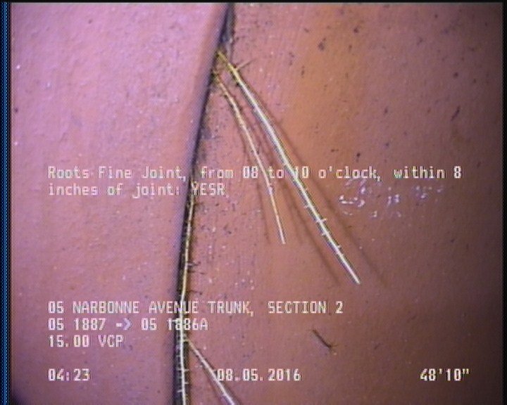 Roots Fine Joint, from 08 to 10 o'clock, within 8 inches of joint: YESR
