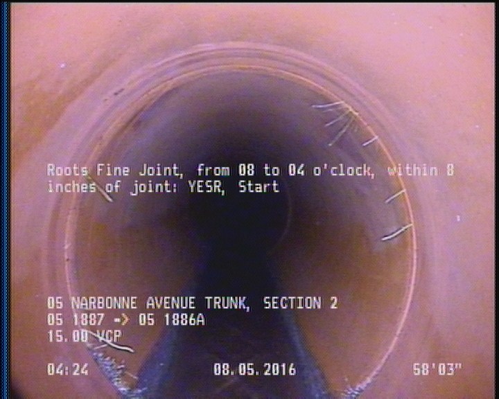 Roots Fine Joint, from 08 to 04 o'clock, within 8 inches of joint: YESR, Start