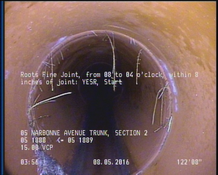 Roots Fine Joint, from 08 to 04 o'clock, within 8 inches of joint: YESR, Start