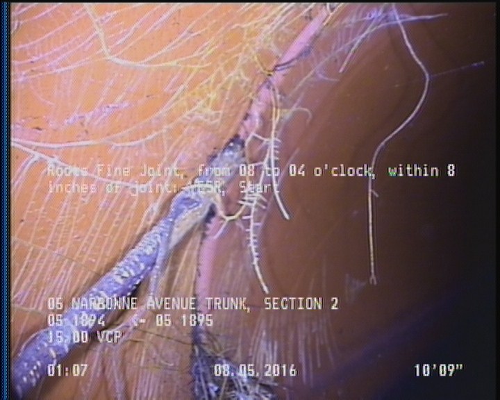 Roots Fine Joint, from 08 to 04 o'clock, within 8 inches of joint: YESR, Start