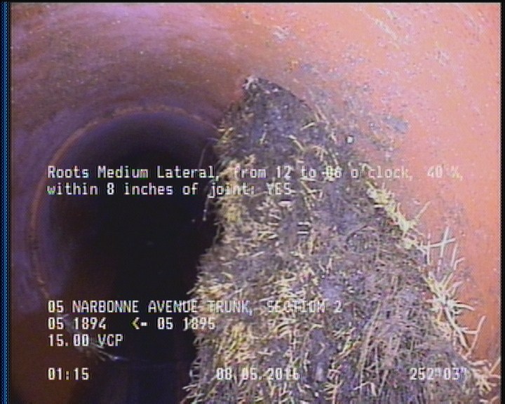 Roots Medium Lateral, from 12 to 06 o'clock, 25 %, within 8 inches of joint: YES