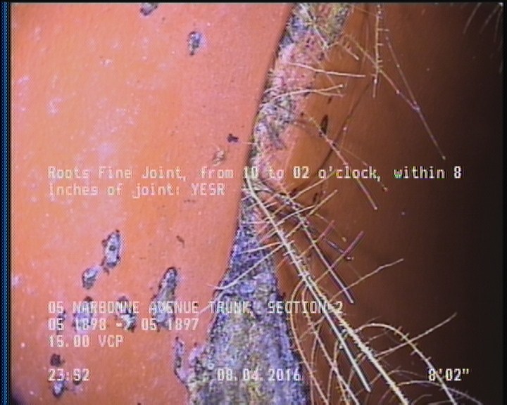 Roots Fine Joint, from 10 to 02 o'clock, within 8 inches of joint: YESR