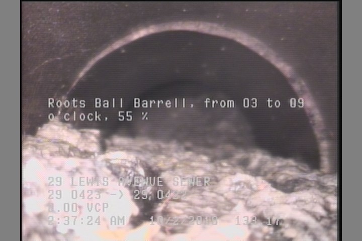 Roots Ball Barrell, from 03 to 09 o'clock, 55 %