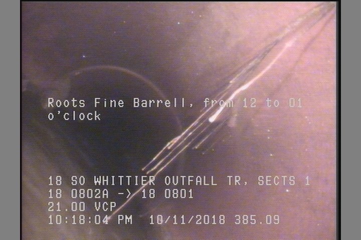 Roots Fine Barrell, from 08 to 04 o'clock, Start