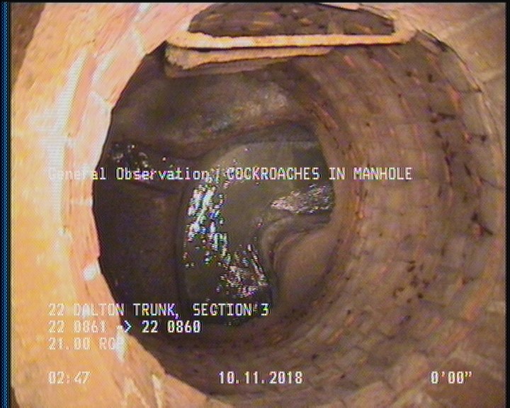 General Observation - COCKROACHES IN MANHOLE