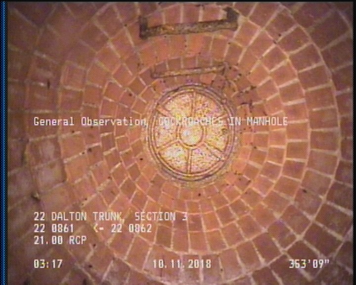General Observation - COCKROACHES IN MANHOLE
