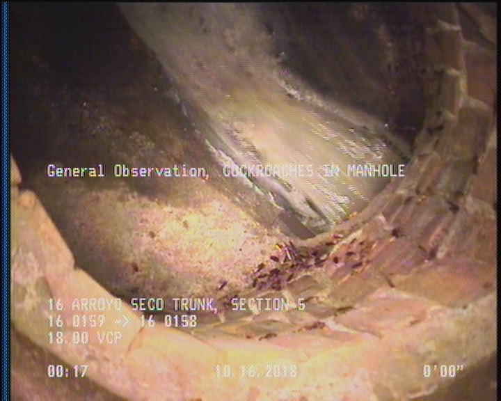 General Observation - COCKROACHES IN MANHOLE